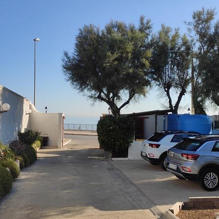 Seagull Apartments - Front And Sea View & Airport Bari Exteriör bild